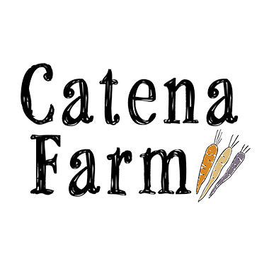 Recipes
&ndash; Tagged "main meal"&ndash; Page 2
&ndash; Catenafarm