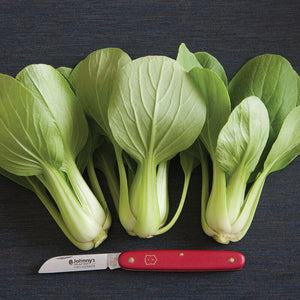 Vente de semis - Mélange à salade