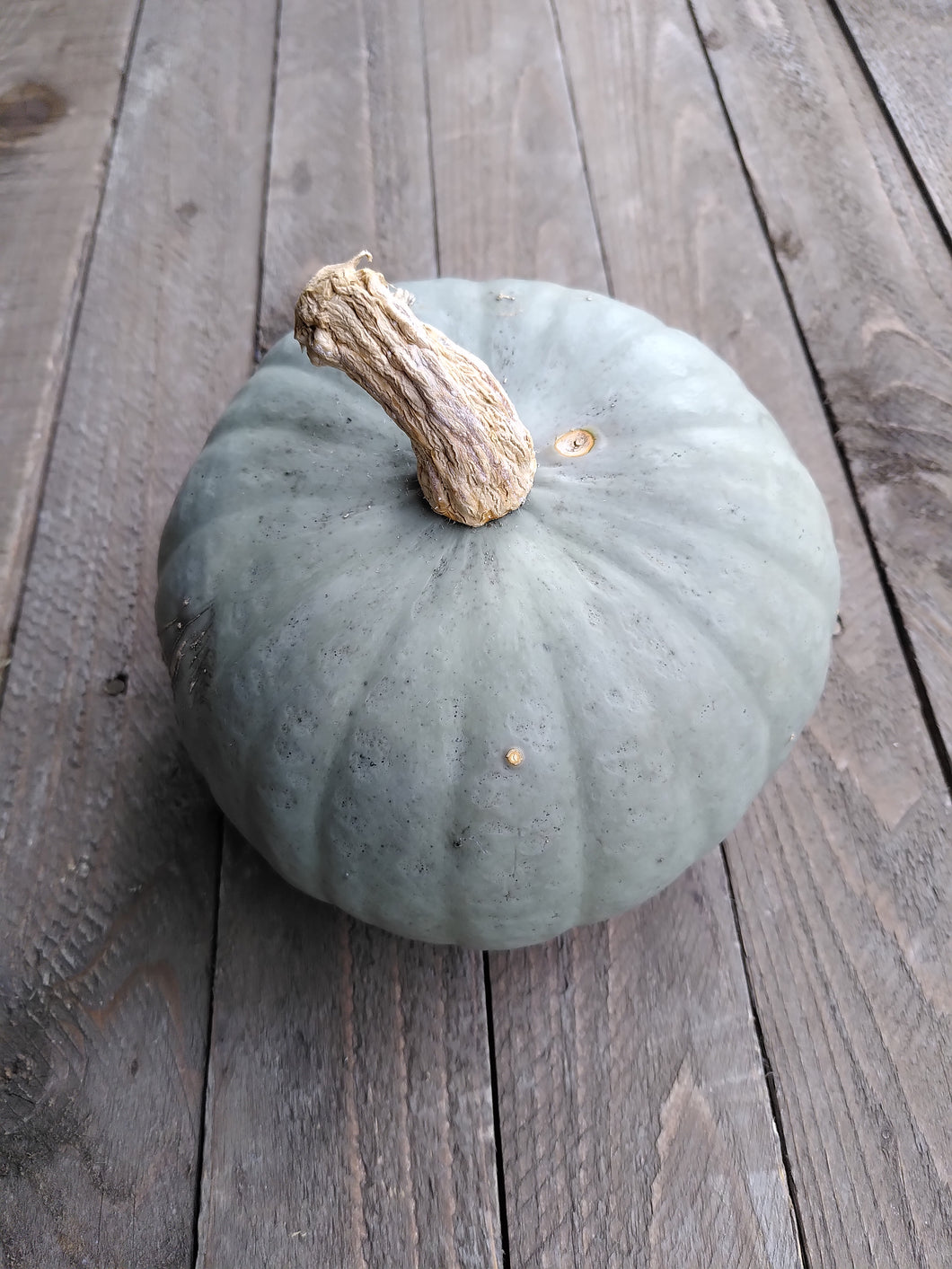 Add On - Blue Kuri Kabocha Squash
