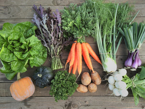 2023 Fall Share CSA Basket - Home Delivery