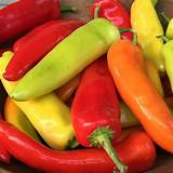 Seedling Sale - Hot Peppers, Hungarian Hot Wax