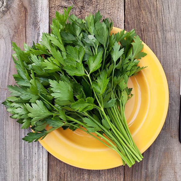 Add On - Parsley, Italian