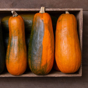 Add On - 'Long Pie' Pumpkin