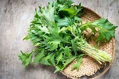 Add On - Mustard Greens, Green Mizuna