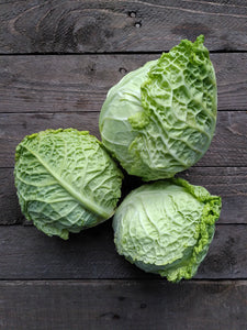 Famosa Cabbage