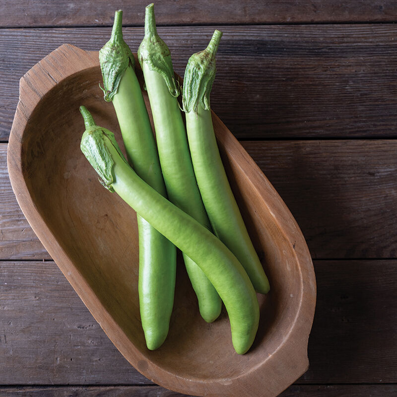 Seedling Sale - Eggplant, Summer Emerald