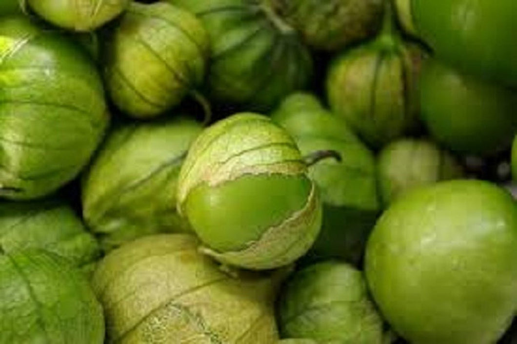 Seedling Sale - Tomatillo, Green