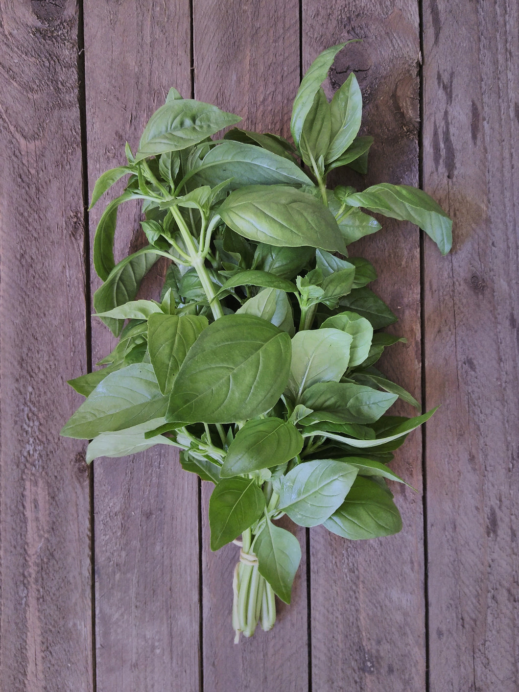 Add On - Green Basil