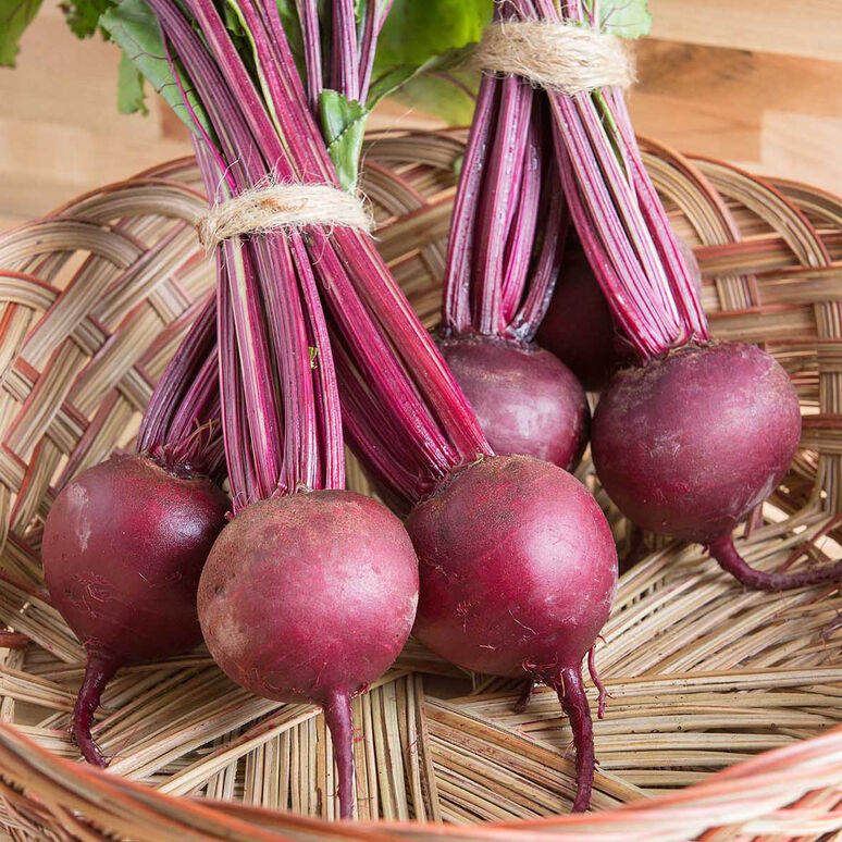 Add On - Beets (baby, topped)