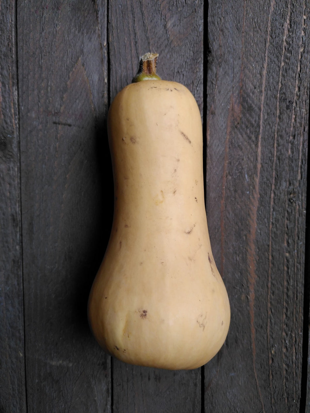 Add On - Butternut Squash (x2 sm)