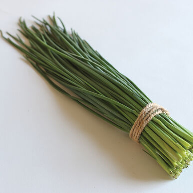 Seedling Sale - Chives