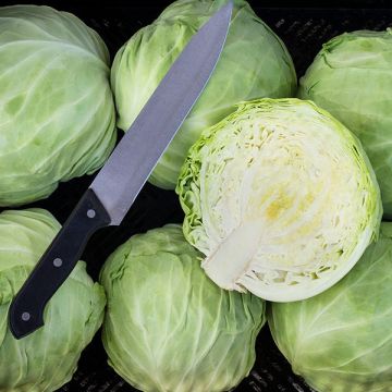 Add On - Green Cabbage