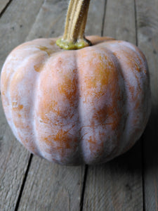 Add On - Koginut Winter Squash