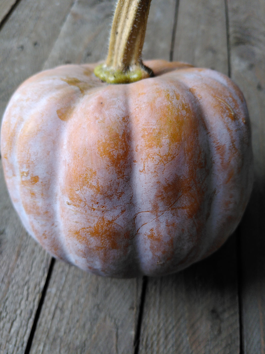 Add On - Koginut Winter Squash