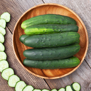 Seedling Sale - Cucumber, Slicer