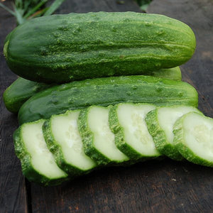 Seedling Sale - Cucumber, Pickling