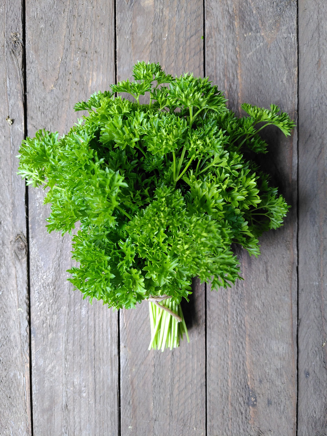 Add On - Parsley, Curly