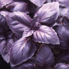 Add On - Purple Basil