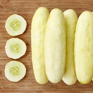 Seedling Sale - Cucumber, Silver Slicer