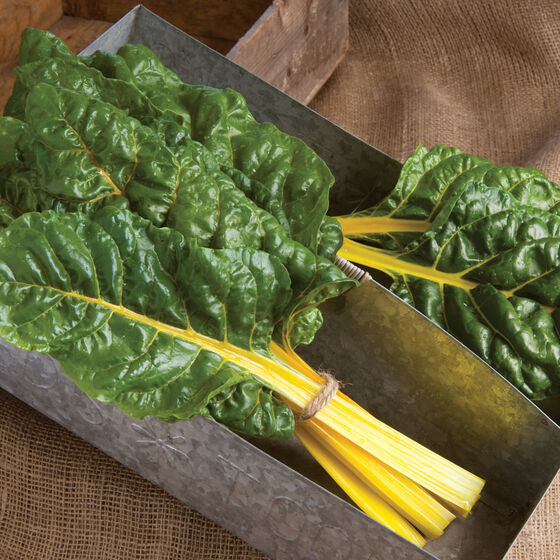 Add On - Swiss Chard